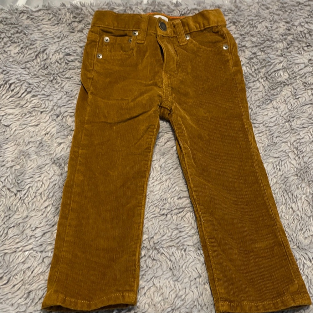Crewcuts pants